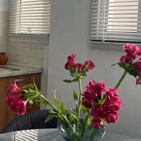 The Catherine 公寓 *