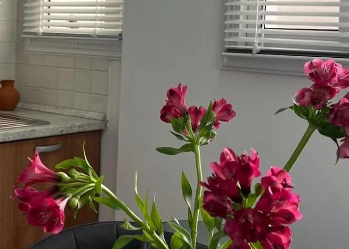 The Catherine Appartement *